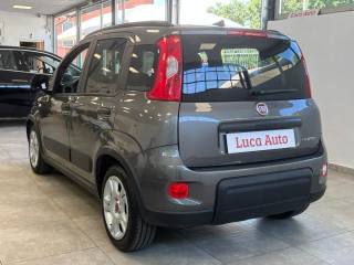 FIAT Panda usata, con Boardcomputer