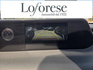 LEXUS UX 250h usata, con Immobilizzatore elettronico
