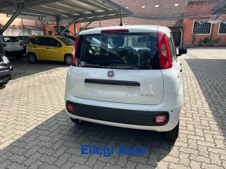 FIAT Panda usata, con Climatizzatore