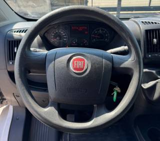 FIAT  usata 11