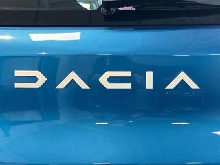 DACIA Spring usata 20