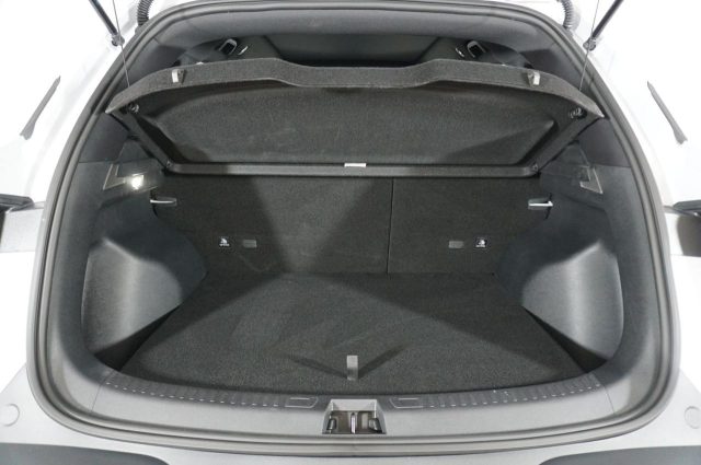 BYD Atto 2 usata, con Cruise Control