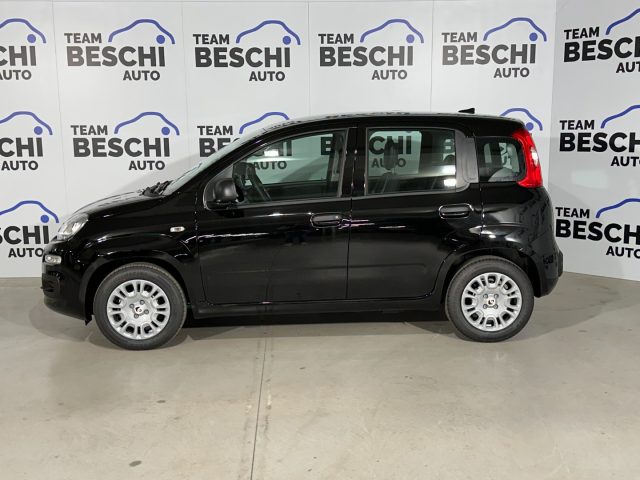 FIAT New Panda usata, con Airbag Passeggero