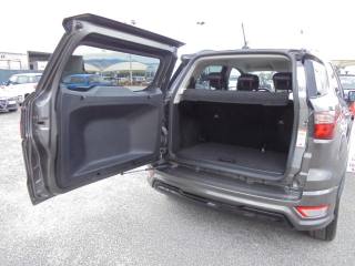 FORD EcoSport usata, con Interni in pelle