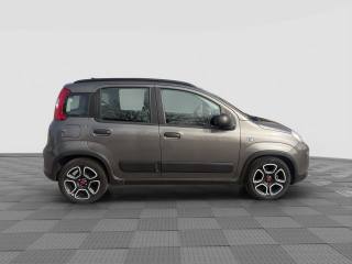 FIAT Panda usata 6