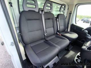 FIAT  usata 13
