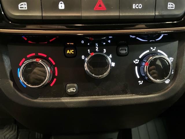 DACIA Spring usata 18