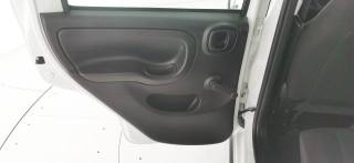 FIAT Panda usata 35