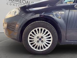 FIAT Punto usata 22