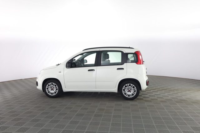 FIAT Panda usata 5
