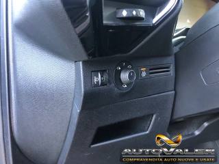 DS AUTOMOBILES DS 7 usata, con Fendinebbia