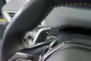 PEUGEOT 3008 usata 53