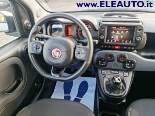 FIAT Panda usata, con Fendinebbia