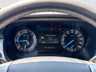 FORD Ranger usata 14