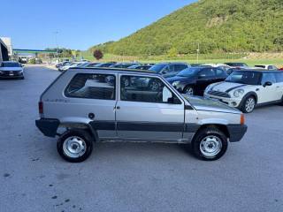 FIAT Panda usata, con Trazione integrale