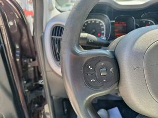 FIAT Panda usata, con Fendinebbia