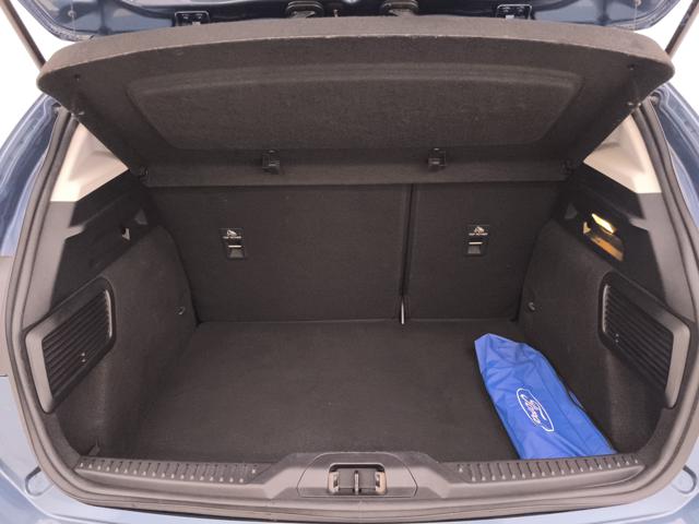 FORD Focus usata, con Bracciolo