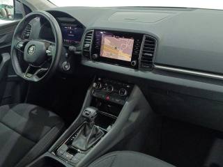 SKODA Karoq usata, con Filtro antiparticolato