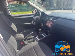 SKODA Octavia usata, con Servosterzo