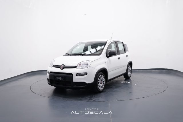 FIAT New Panda usata, con ABS