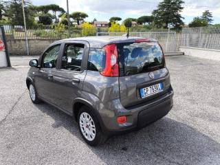 FIAT Panda usata 3
