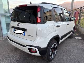 FIAT Panda Cross usata, con Antifurto