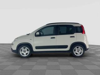 FIAT Panda usata 1