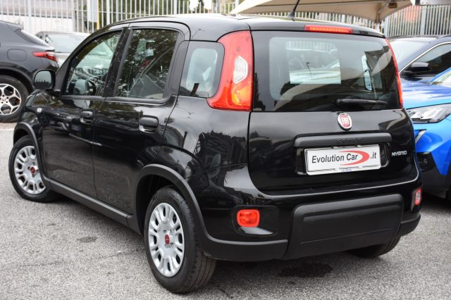 FIAT Panda usata, con Alzacristalli elettrici