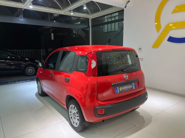 FIAT Panda usata, con Airbag Passeggero