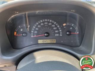 FIAT Punto usata 11