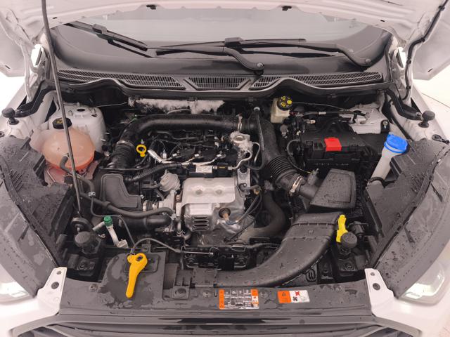 FORD EcoSport usata, con Airbag testa
