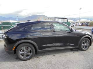 FORD Mustang Mach-E usata, con Climatizzatore