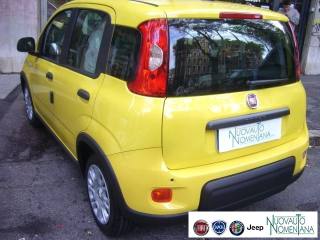 FIAT Panda usata, con Cruise Control