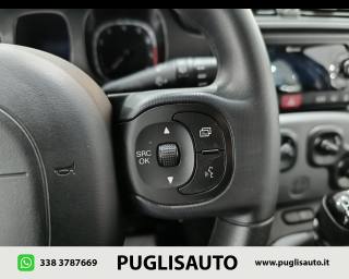 FIAT Panda Cross usata, con Autoradio digitale