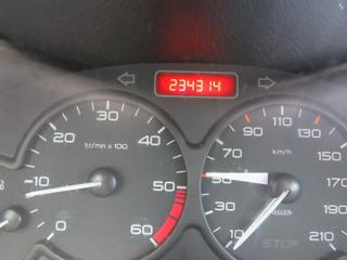 PEUGEOT 206 usata 13