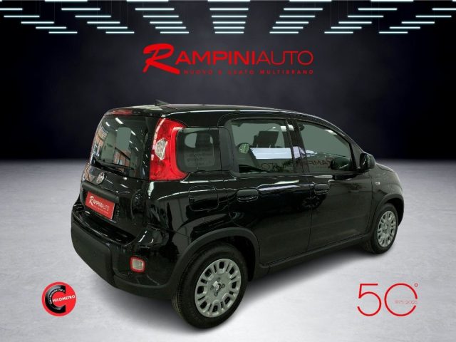 FIAT Panda usata 5