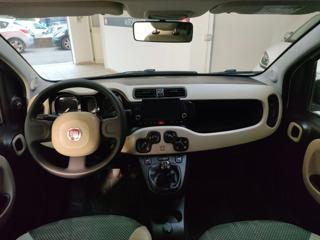FIAT Panda usata, con Antifurto