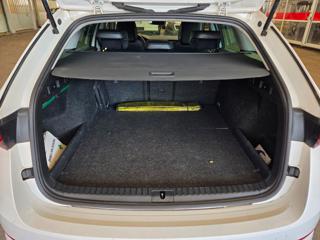 SKODA Octavia usata, con Cerchi in lega