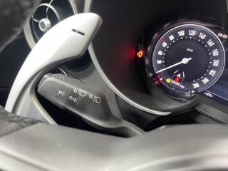 ALFA ROMEO Stelvio usata 29