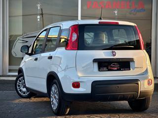 FIAT Panda usata, con ESP