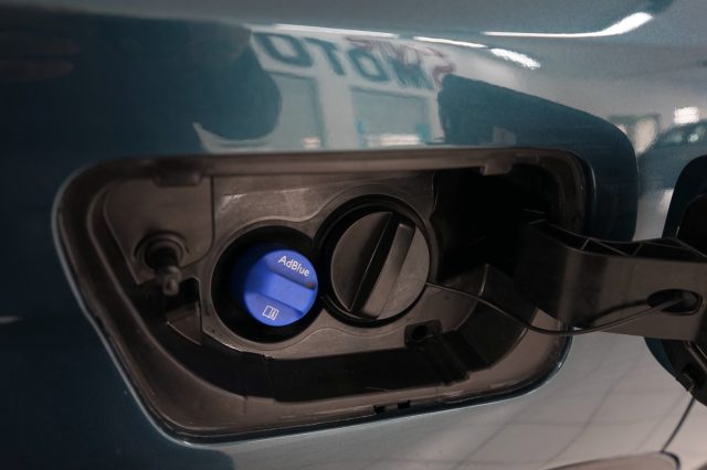 PEUGEOT 5008 usata 31