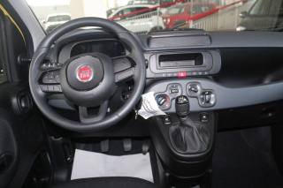 FIAT Panda usata, con Immobilizzatore elettronico