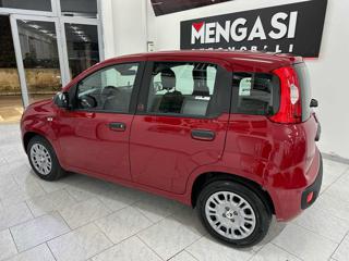 FIAT Panda usata, con Climatizzatore