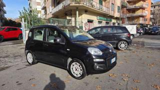 FIAT Panda usata, con Airbag Passeggero