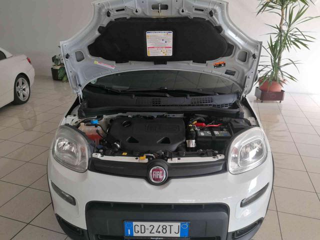 FIAT Panda usata 19