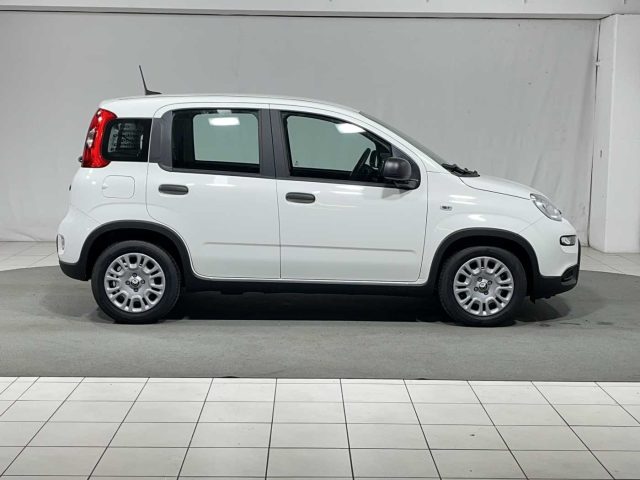 FIAT Panda usata, con Chiusura centralizzata