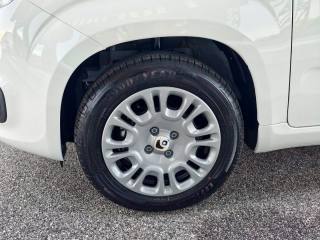 FIAT Panda usata, con Autoradio