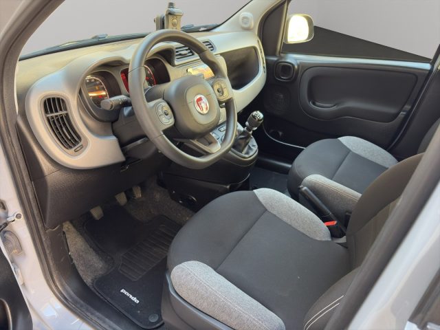 FIAT Panda usata, con Fendinebbia