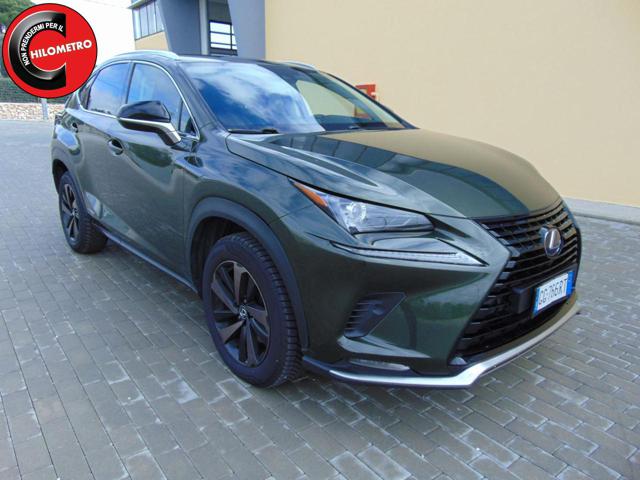 LEXUS NX 300 usata, con Airbag laterali