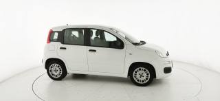 FIAT Panda usata 21